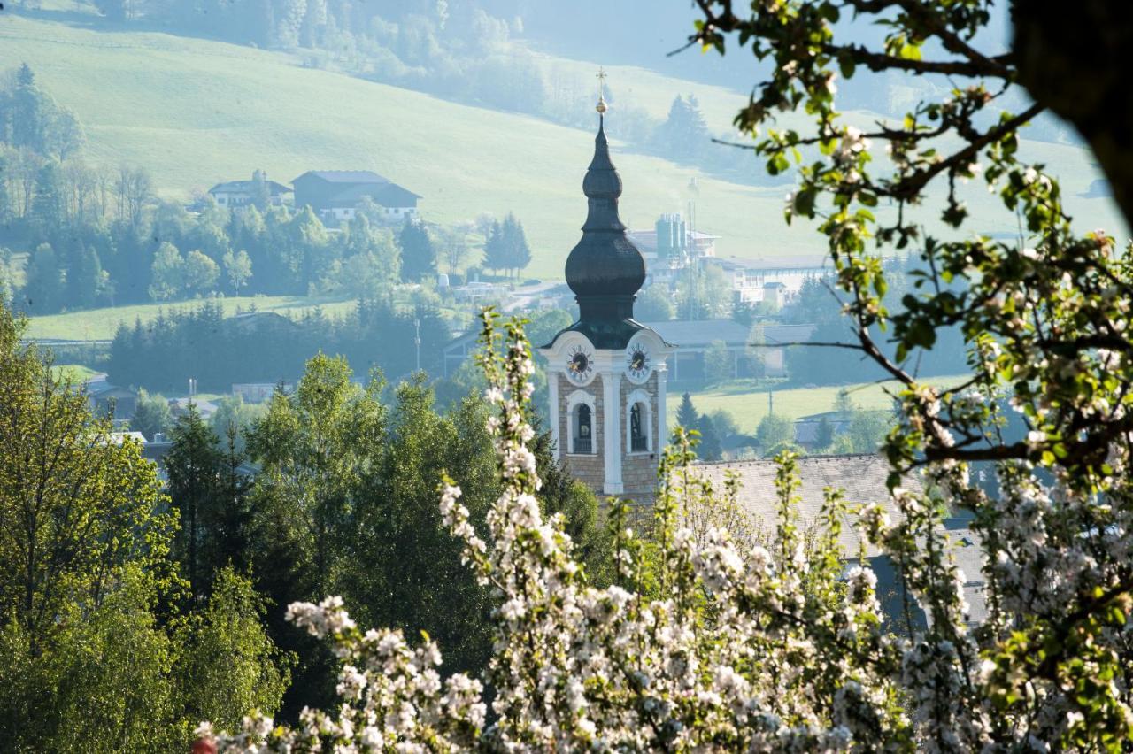 Landhaus Steiner Altenmarkt im Pongau Extérieur photo